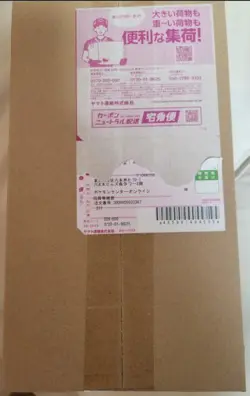 Tohoku Special Box Japanese Sealed Shrink 2025 Pokemon Center Original cardboard - Image 2