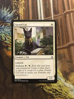 1x Sacred Cat - Amonkhet - Near Mint - Image 1
