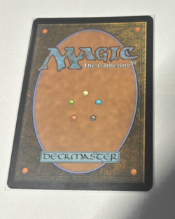 FOIL Borderless MTG Wan Shi Tong, Librarian TLA Avatar: The Last Airbender ENG - Image 2