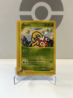 Shuckle 96/144 Common Skyridge Pokemon Card - WOTC **MP** - Image 1
