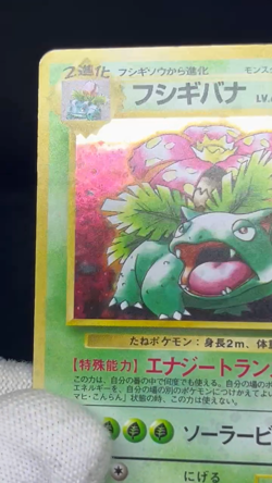(MP/HP) Blastoise Venusaur Trade Please Holo CD Promo 1998 Japanese Pokemon Card - Image 2