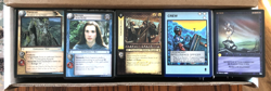 🔥Misc CCG Lot ~600 Cards-Lord of the Rings, Star Trek, Wyvern, Overpower - #8🔥 - Image 1