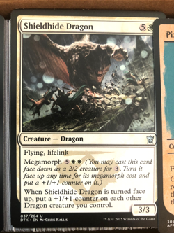 ??Magic the Gathering and Flesh and Blood CCG - Bulk Common Lot - ~900 Cards?? - Image 5