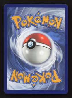Zeraora V SWSH 263 Black Star Promo Sword & Shield Ultra Rare Pokemon Card - Image 2