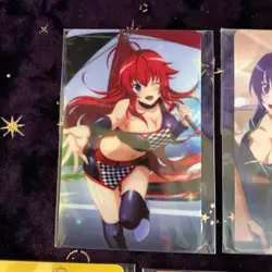 10 SET Gamers High School Dxd Hero Vol2 Illustration Card Rias Akeno Koneko Asia - Image 4