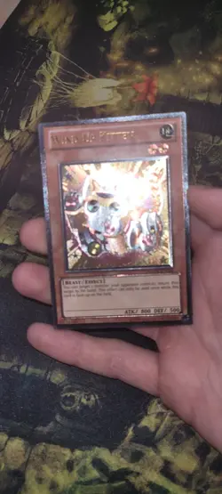 Wind-Up Kitten (LP) PHSW-EN026 Ultimate Rare - Image 2