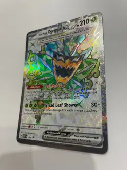 Pokemon TCG: 2024 Twilight Masq. Black Star Promo Teal Mask Ogerpon EX (SVP166) - Image 3