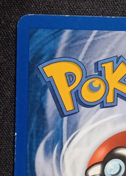 Pokemon Gyarados 11/144 Skyridge - Rare Not Holo ENG Front NM Back Good+ - Image 3