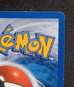 Pokemon Gyarados 11/144 Skyridge - Rare Not Holo ENG Front NM Back Good+ - Image 4