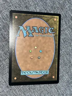 Sunpetal Grove - FIC 0432 NM - MTG Magic NM/M Regular - Image 2