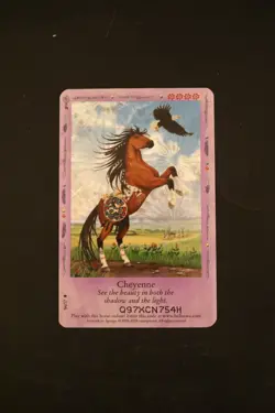 Bella Sara Trading Card - Native Lights - Foil S4/17 Cheyenne - Image 1
