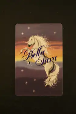Bella Sara Trading Card - Native Lights - Foil S4/17 Cheyenne - Image 2