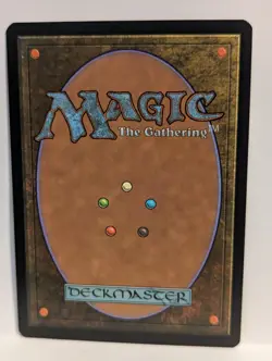 Magic: 2010 Core Set M10: Soul Warden 34/249 NM - Image 2