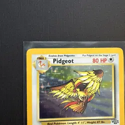 Pokemon TCG Pidgeot Jungle 8/64 Holo Rare 1999 No Symbol - Image 2
