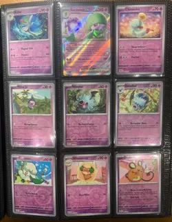 Paldean Fates Complete Base Set 091/091 all normal, holo, reverse and ex cards - Image 4