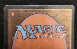 Tropical Island - MtG Magic Revised Regular Rare MP+/LP - Image 4