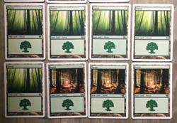 MAGIC THE GATHERING CARDS LOT x14 LANDS FOREST 8th & 9th EDITION MTG 2003 - Image 3