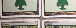 MAGIC THE GATHERING CARDS LOT x14 LANDS FOREST 8th & 9th EDITION MTG 2003 - Image 4