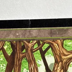 MTG Forest 1997 APAC Land Promo Signed By The Artist Christopher Rush - Image 5