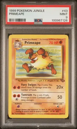 1999 Pokemon Primeape 43/64 Jungle #43 WOTC - PSA 9 - Image 1