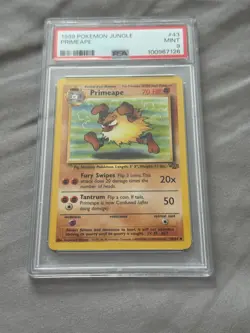 1999 Pokemon Primeape 43/64 Jungle #43 WOTC - PSA 9 - Image 3