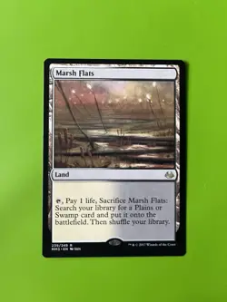 Marsh Flats Mtg - Image 1