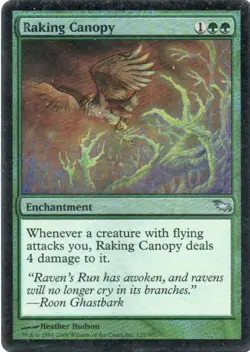 MTG: Shadowmoor: Foil Raking Canopy: Lightly Played Condition - Image 1
