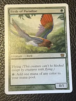 Mtg 8th Edition - Birds Of Paradise-EX++ Gradable - Image 1