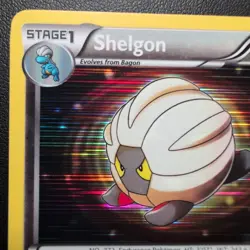 Shelgon 7/20 Dragon Vault Holo Rare Pokemon Card TCG LP - Image 2