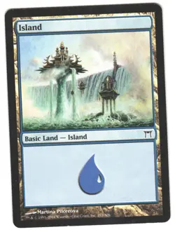 Magic_the_gathering Champions of Kamigawa Island (293) #293 2004,MTG,LP Land - Image 1