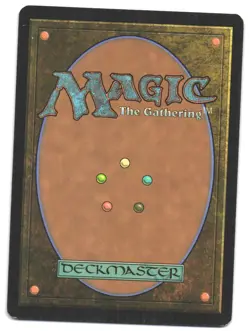 Magic_the_gathering Champions of Kamigawa Island (293) #293 2004,MTG,LP Land - Image 2