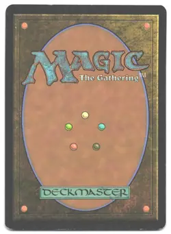 Magic_the_gathering Champions of Kamigawa Island (292) #292 2004,MTG,LP Land - Image 2