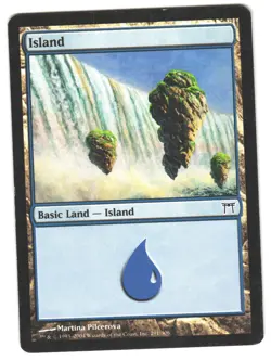 Magic_the_gathering Champions of Kamigawa Island (291) #291 2004,MTG,LP Land - Image 1