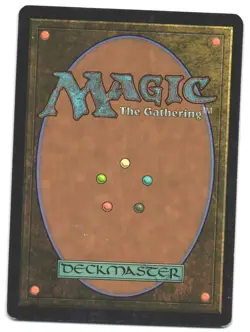 Magic_the_gathering Champions of Kamigawa Island (291) #291 2004,MTG,LP Land - Image 2