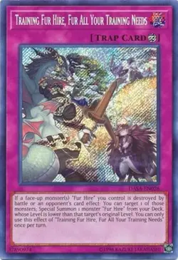 Training Fur Hire, Fur All Your Training Needs - DASA-EN026 - Secret Rare - Unli - Image 1