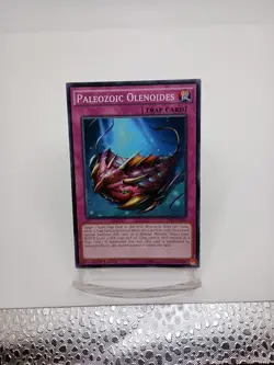 1x Paleozoic Olenoides - TDIL-EN095 - Common - 1st Edition Lightly Played TDIL - - Image 1