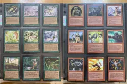 Magic the Gathering MTG Alliances Complete Set NM+ - Image 5