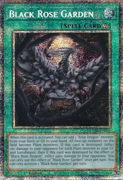 Yugioh! Black Rose Garden - DOOD-EN055 - Starlight Rare - 1st Edition Near Mint, - Image 1