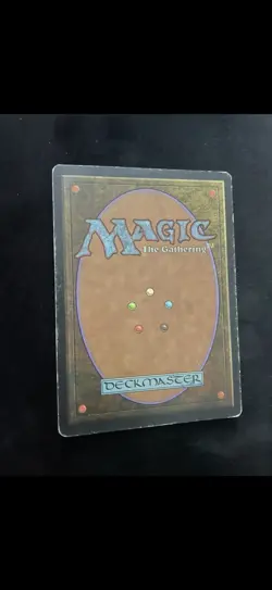 Enlightened Tutor - Image 2