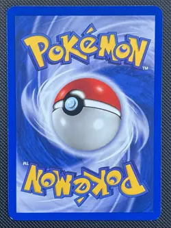 Pidgeot 8/64 Jungle Holo Pokemon Card WOTC 1999 Vintage NM - Image 2