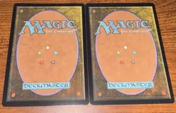Field of the Dead - Secret Lair Countdown Kit (SLC) 0006 - NM/M With Bonus Card - Image 2