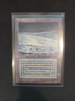 Magic: The Gathering Tundra Land Card - Image 3