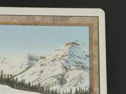 MTG Taiga Revised Edition Regular Rare Light Play - Image 4