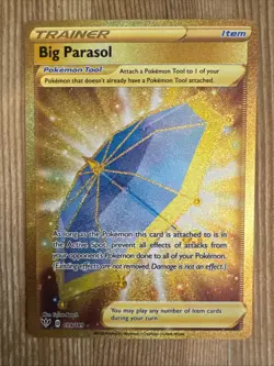 Big Parasol - 199/189 - Pokemon Darkness Ablaze Sword Shield Secret Rare Card NM - Image 1