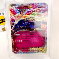 PSA 10 Xerneas EX 023/025 Holo Japanese Pokemon 25th Anniversary GEM MINT - Image 2