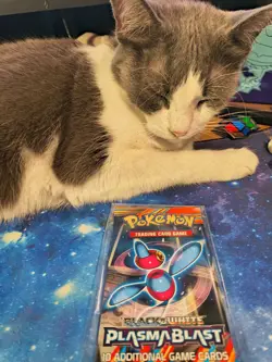 Pokemon Plasma Blast Black & White Booster Pack Porygon Art 820650108341 - Image 3