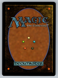 Hinterland Harbor R 0403 Regular - Final Fantasy MTG Magic The Gathering - Image 2