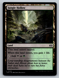 Jungle Hollow L 0258 - Tarkir: Dragonstorm Regular - Image 1