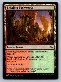 Bristling Backwoods L 0253 Regular - Outlaws of Thunder Junction (OTJ) - Image 1