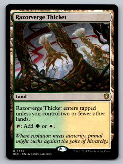 Razorverge Thicket R 0325 Bloomburrow Regular - Image 1